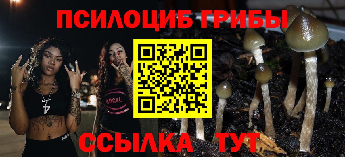 Галлюциногенные грибы GOLDEN TEACHER Ивантеевка