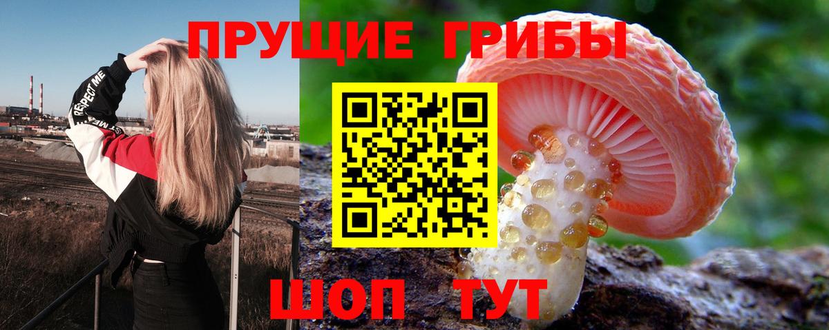Галлюциногенные грибы мухоморы  Галлюциногенные грибы Magic Shrooms  что такое наркотик  Вход с VPN  Ивантеевка 